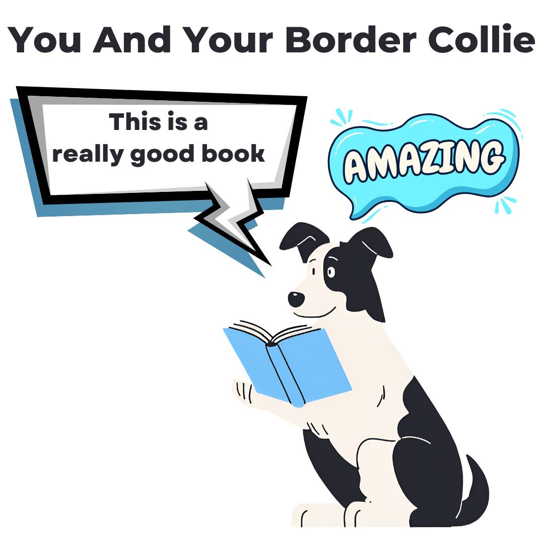 Border - 🐾📖 Calling all Border Collie lovers! 📖🐾 Looking to better ...