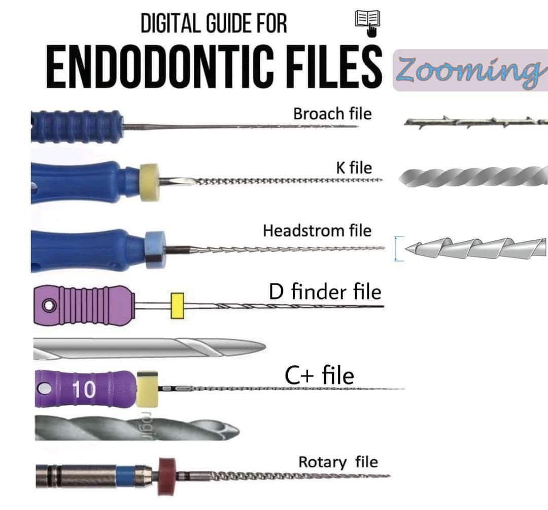 Bites - Endodontic Files #Dentistry #LearningTips #BitesnBraces #smile ...