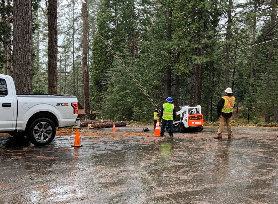 Alpine Tree Service