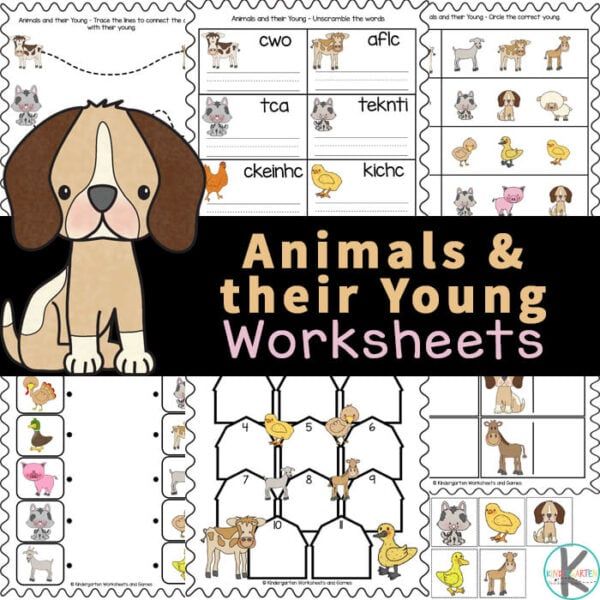 123 - FREE Farm Animals and their Young Ones Worksheet Pack https://www ...