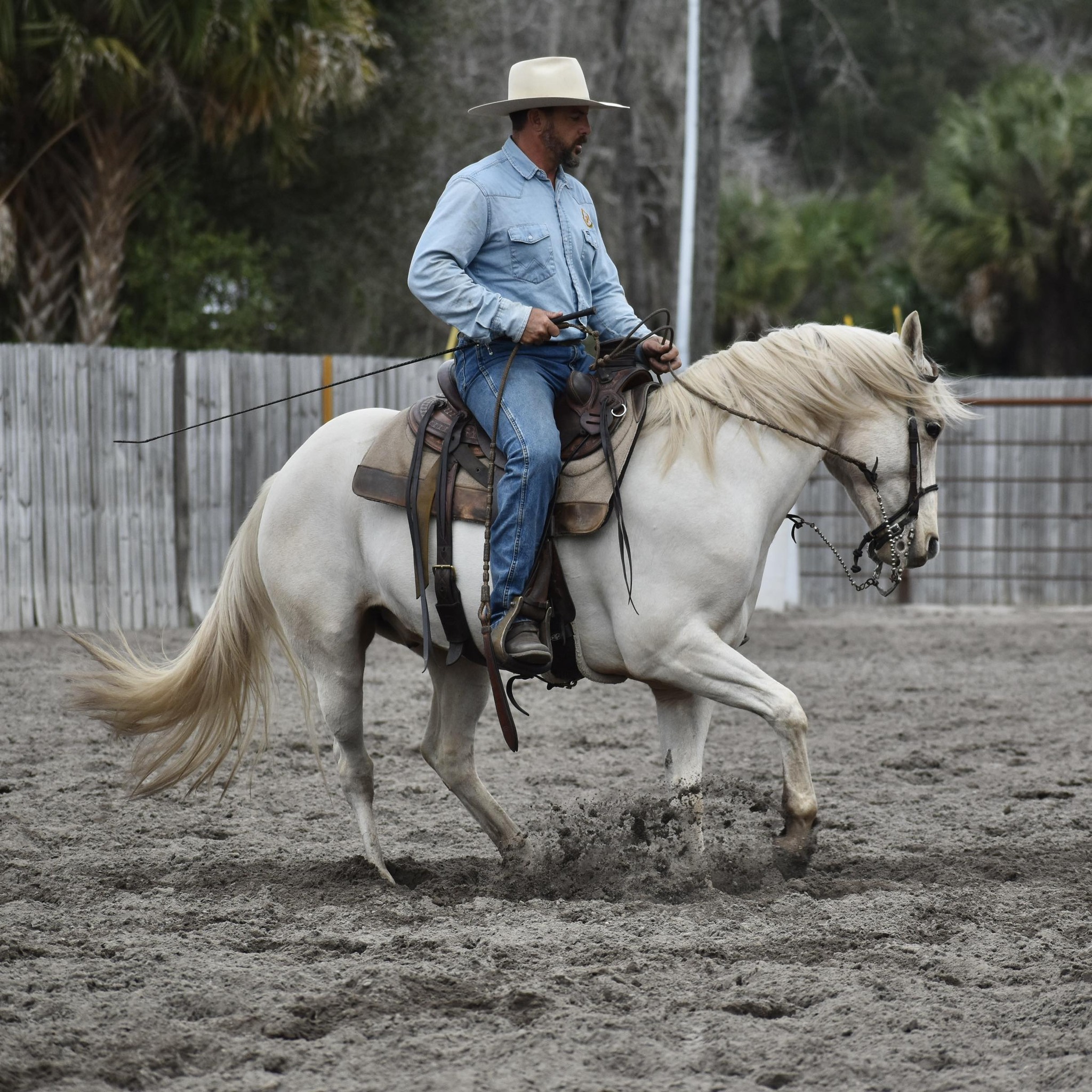 Felix aka parade field had his second Post track ride, this time under ...