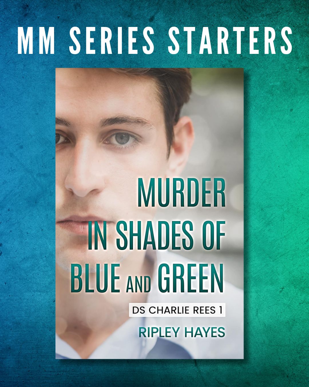 Ripley Hayes Author