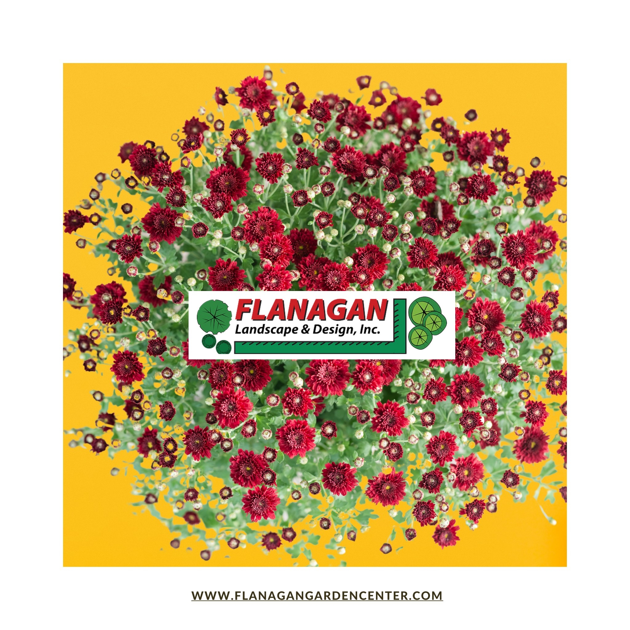 New Faces, Fresh Ideas, Same Passion! At Flanagan Landscape & Design ...