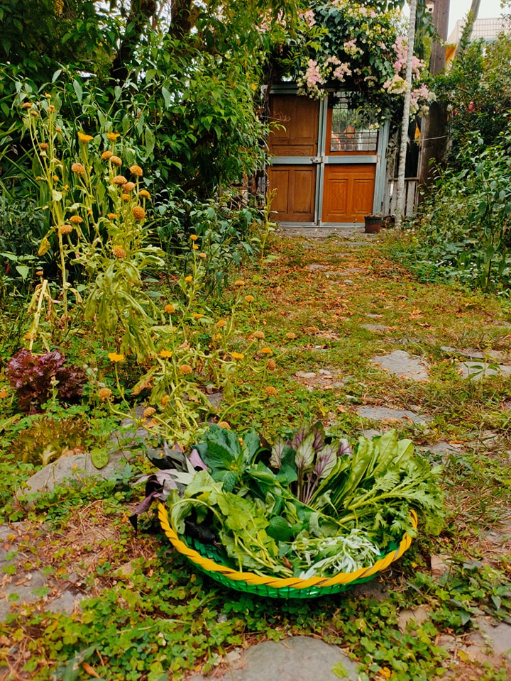萬金 紅土庄3號 Red clay village homestay | Pingtung