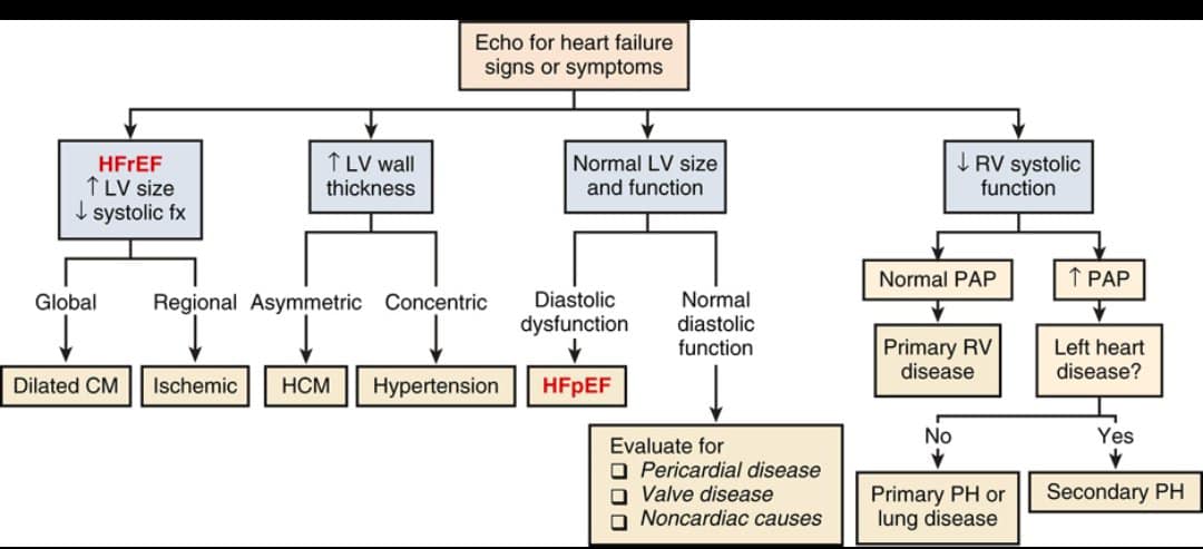 Cardiophilia - 🎥 Echocardiographic approach to heart... | Facebook