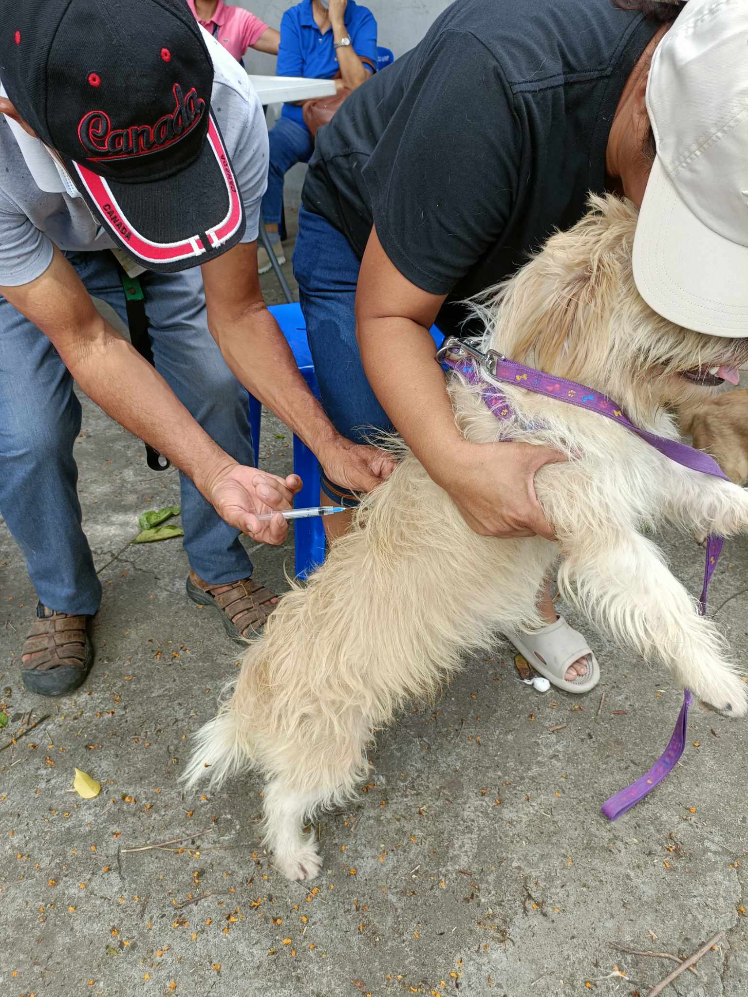 IN PHOTOS | The Anti-Rabies... - City Government of San Pedro | Facebook