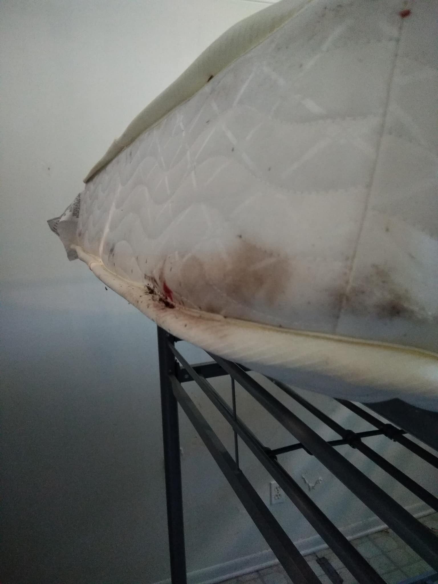 Alpine Pest Control Atlanta MI