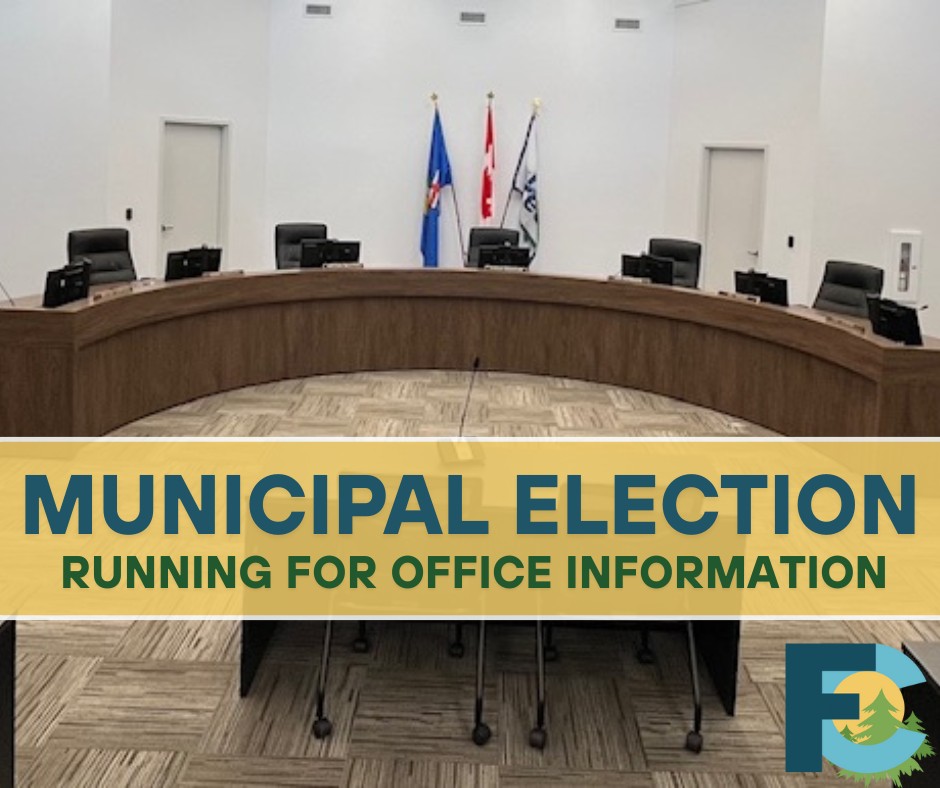 Town - 🏛️ Thinking of Running for Office? 🏛️ The 2025 Municipal ...