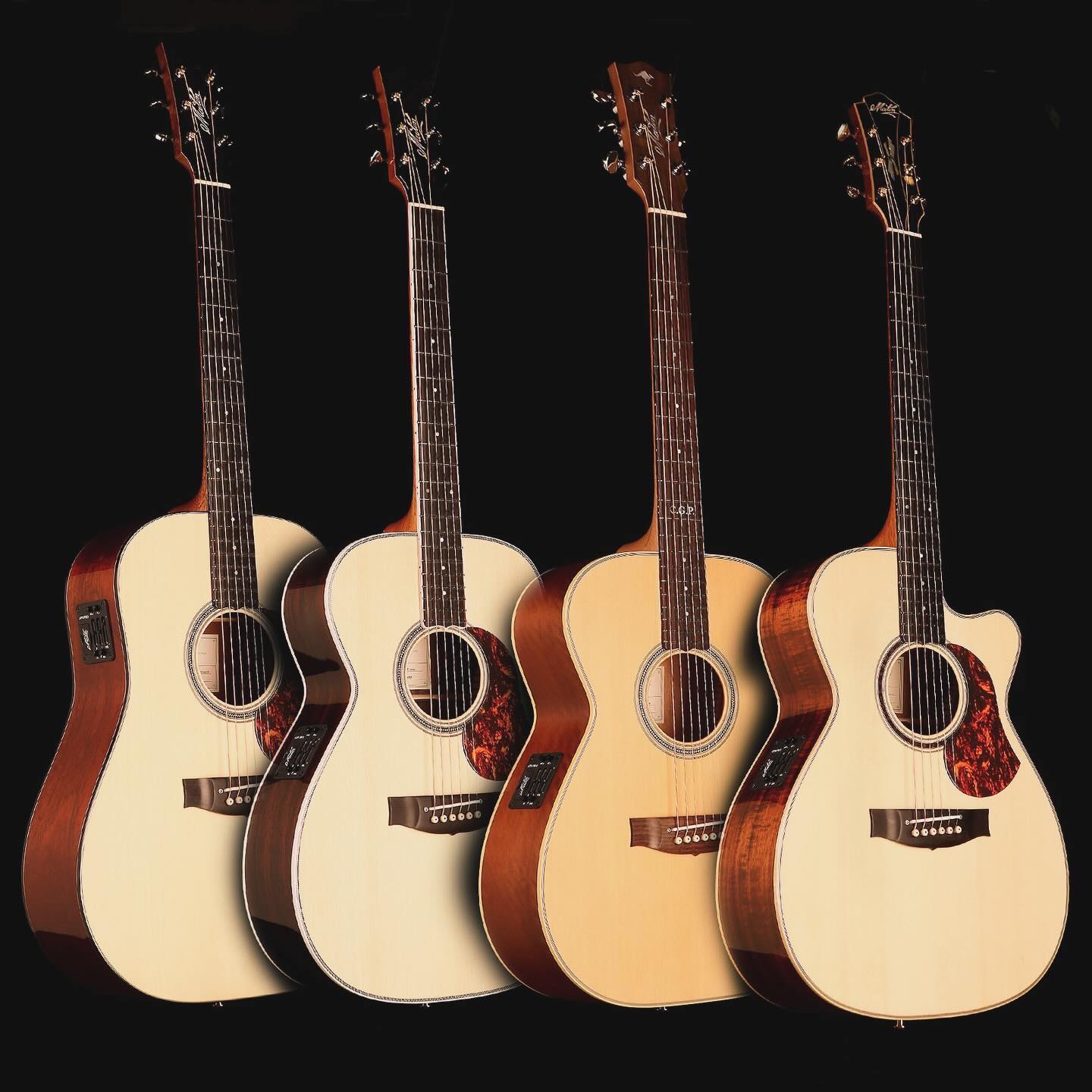 Musician's series guitar models listed