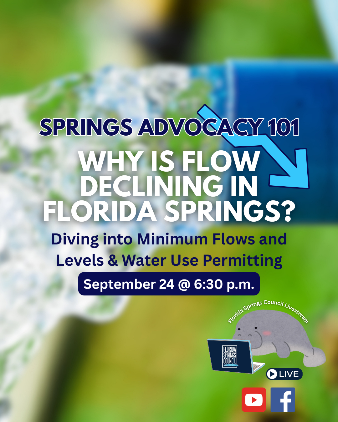 Florida - Join the Florida Springs Council for a deep dive into Minimum ...