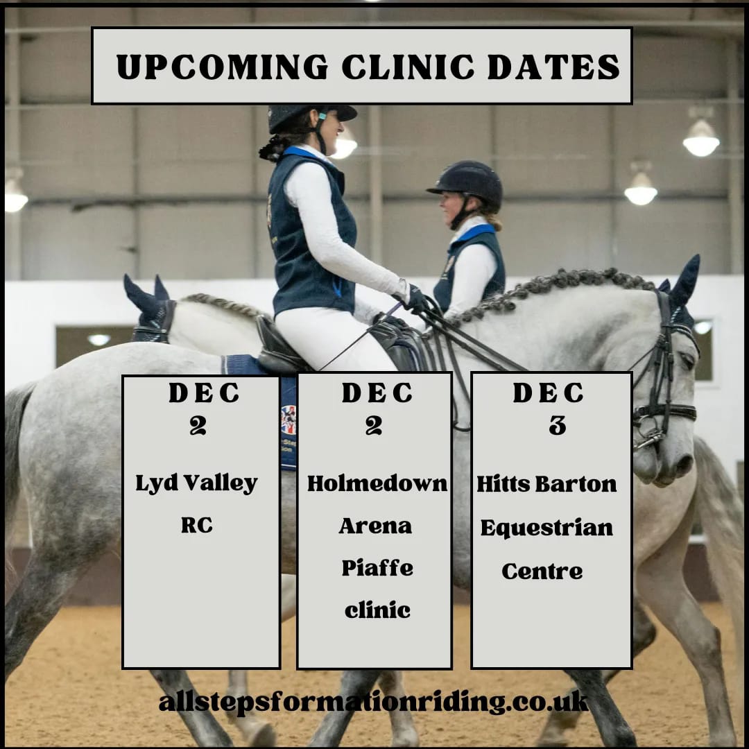 Fancy giving formation riding... - All-Steps Formation Riding | Facebook