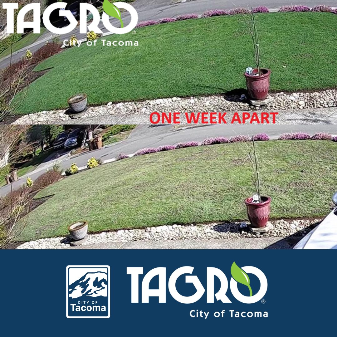 🌱 💚 TAGRO before and after!... - City of Tacoma Government | Facebook