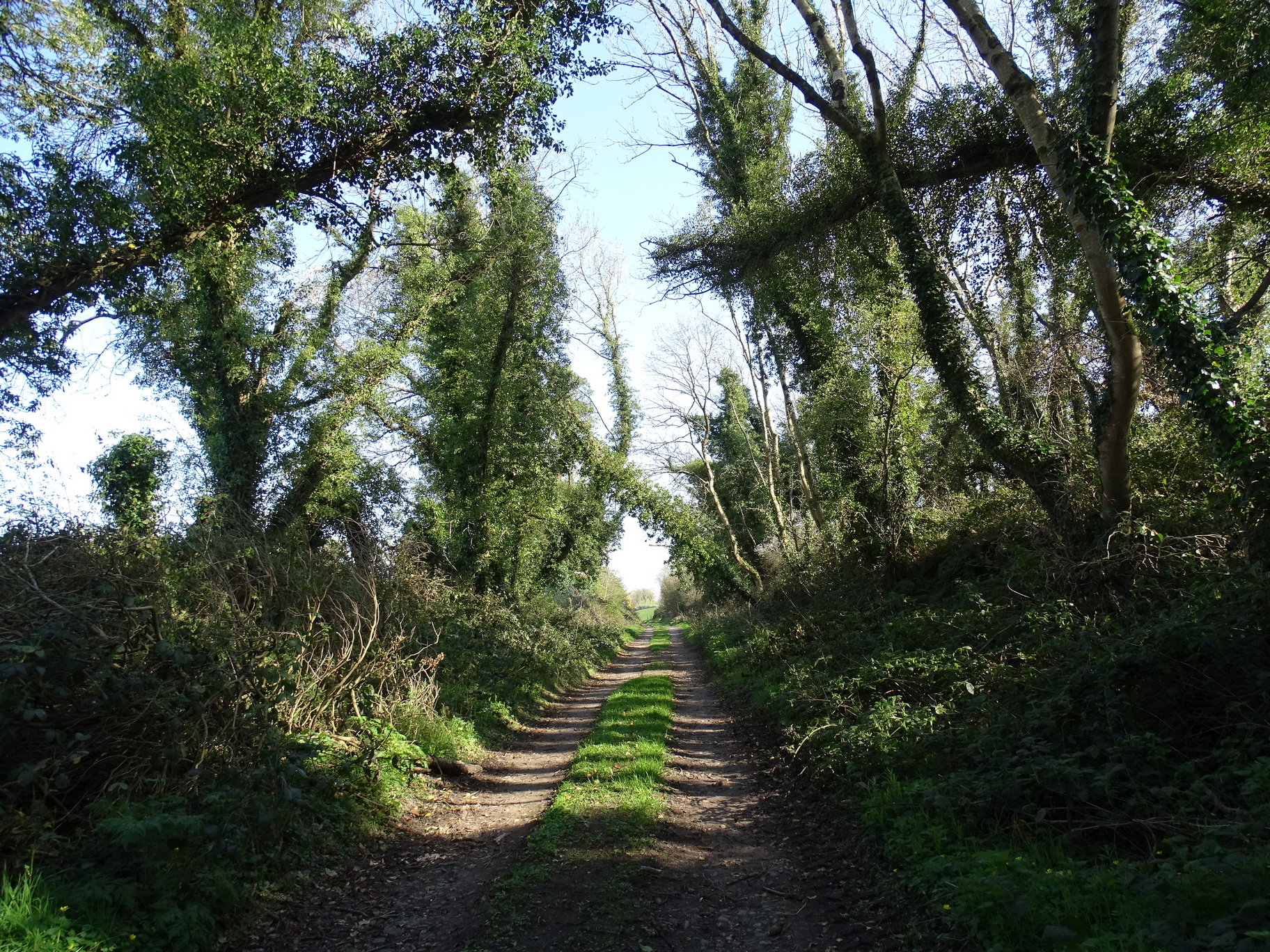 Monaghan Integrated Development CLG | Castleblayney