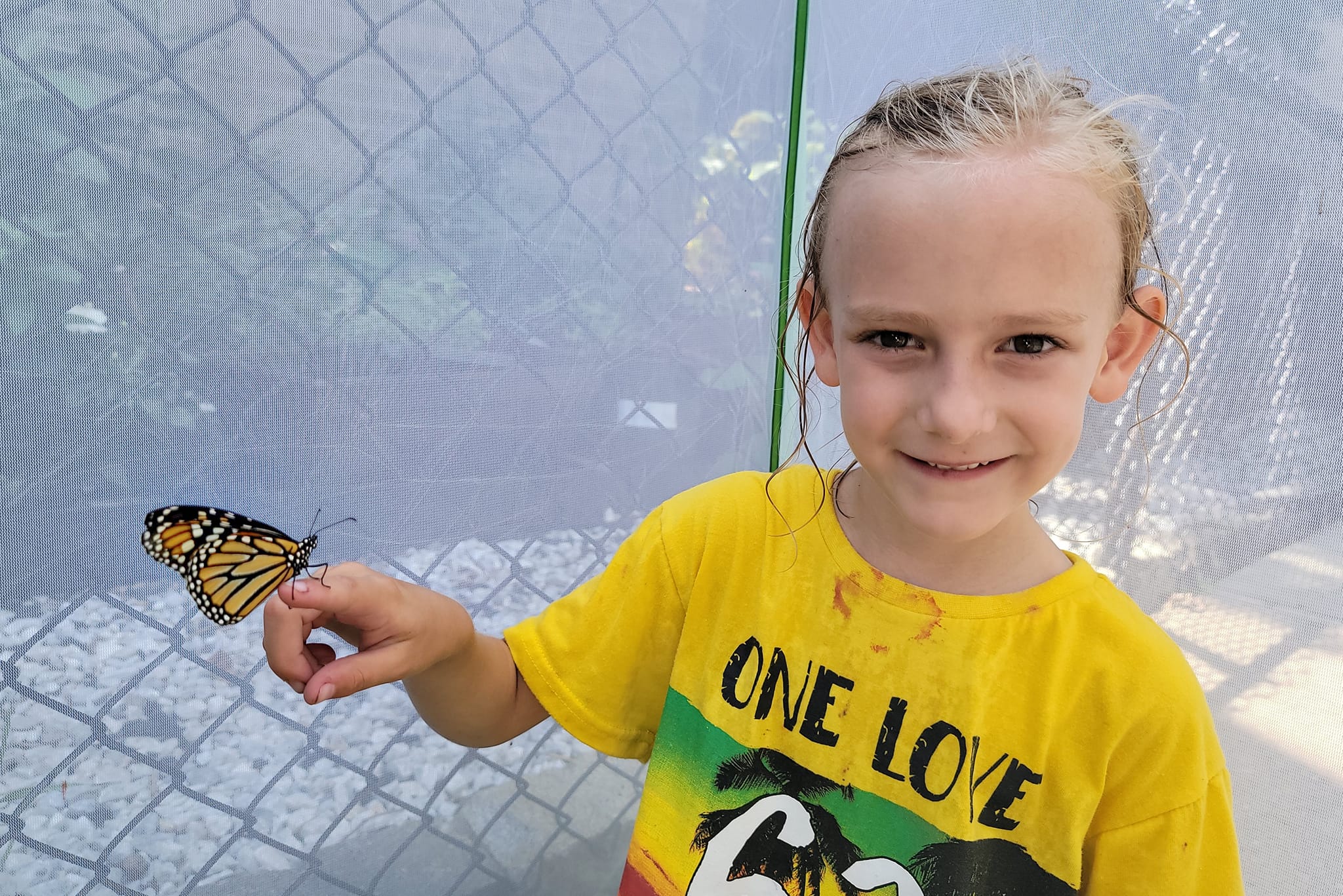 A few children had the chance... - Inwood Butterfly Sanctuary | Facebook