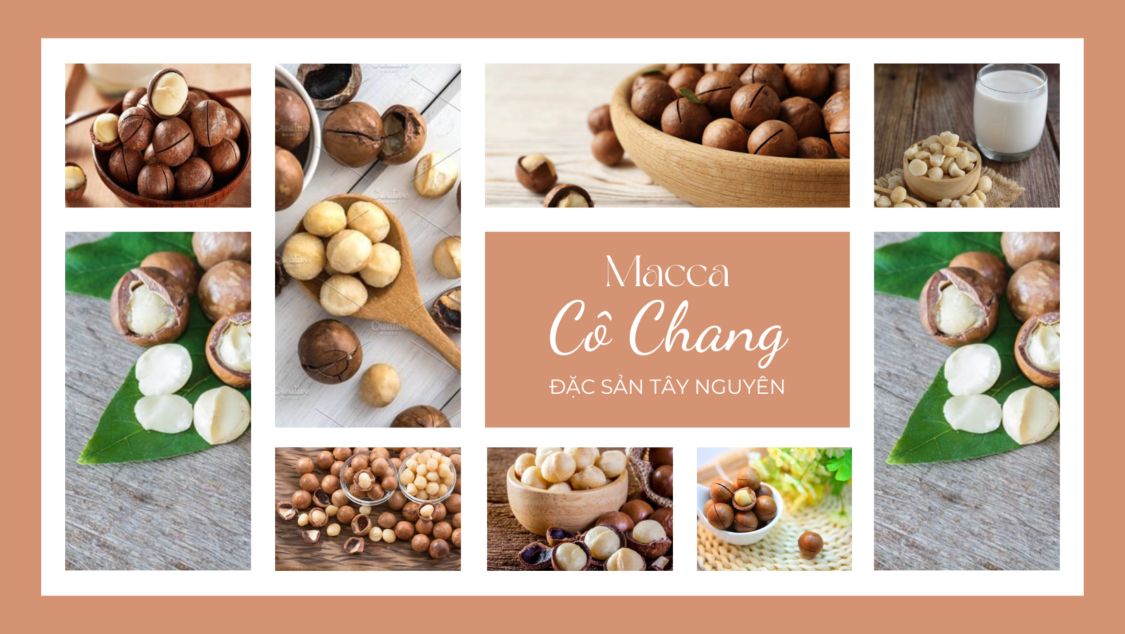 Macca Cô Chang - Đặc sản Tây Nguyên