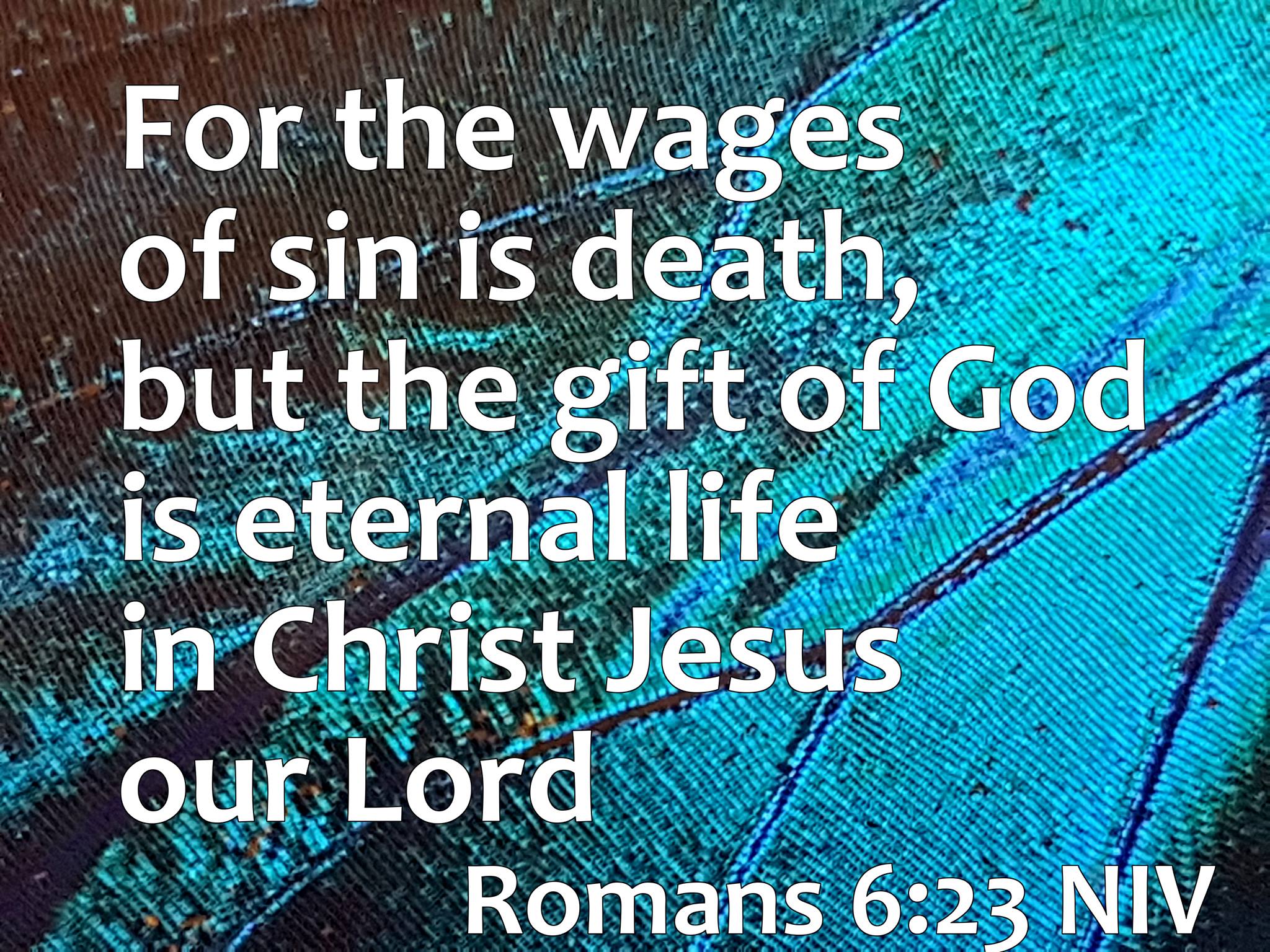 In the same way, count yourselves... - Bible Verse to Share | Facebook