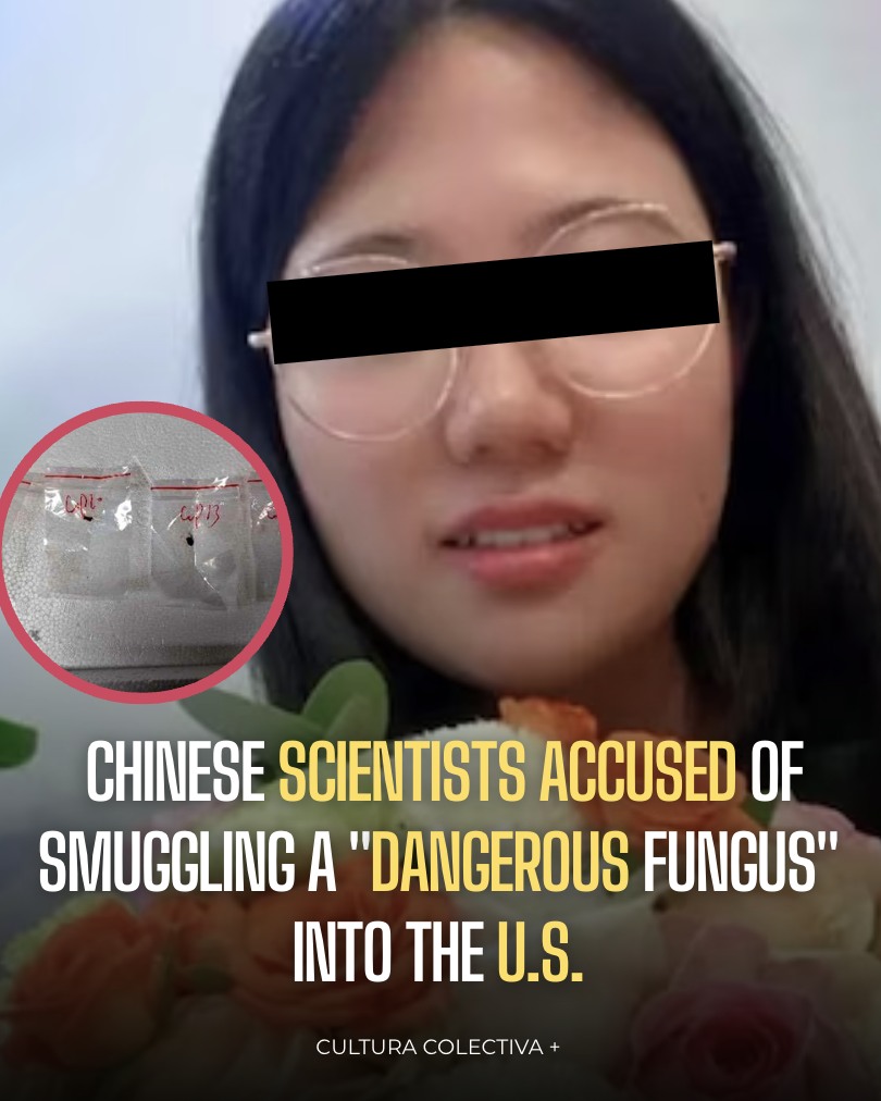 #NEWS| Two Chinese nationals have... - Cultura Colectiva + | Facebook