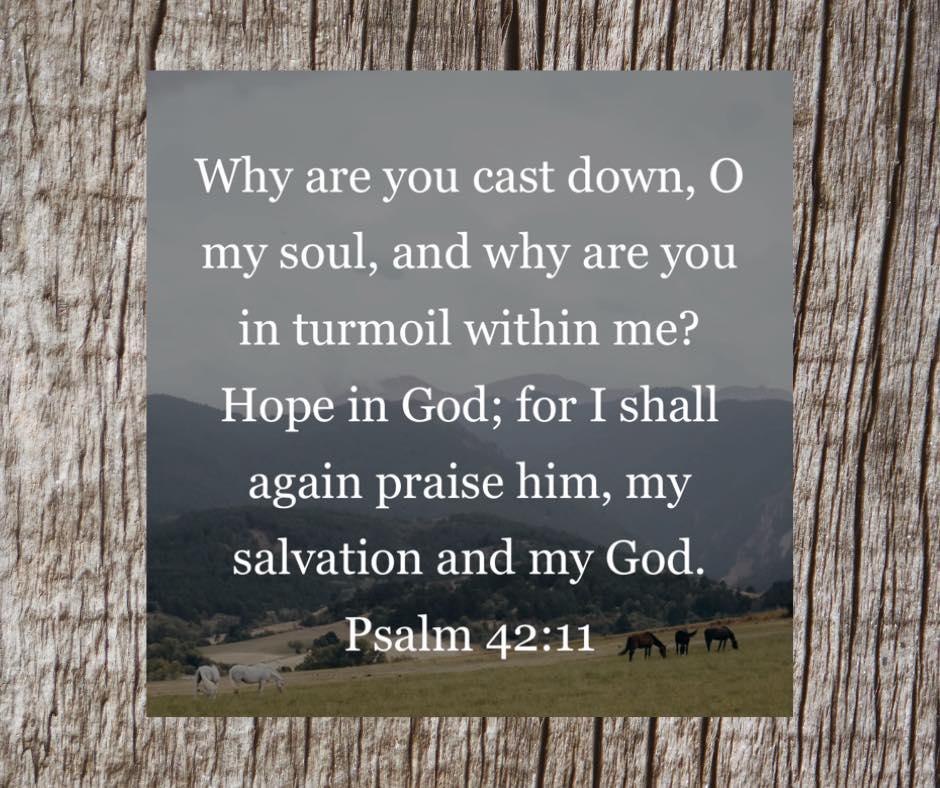 Gettysburg - Verse of the day: Psalm 42:11 - “Why are you cast down, O ...