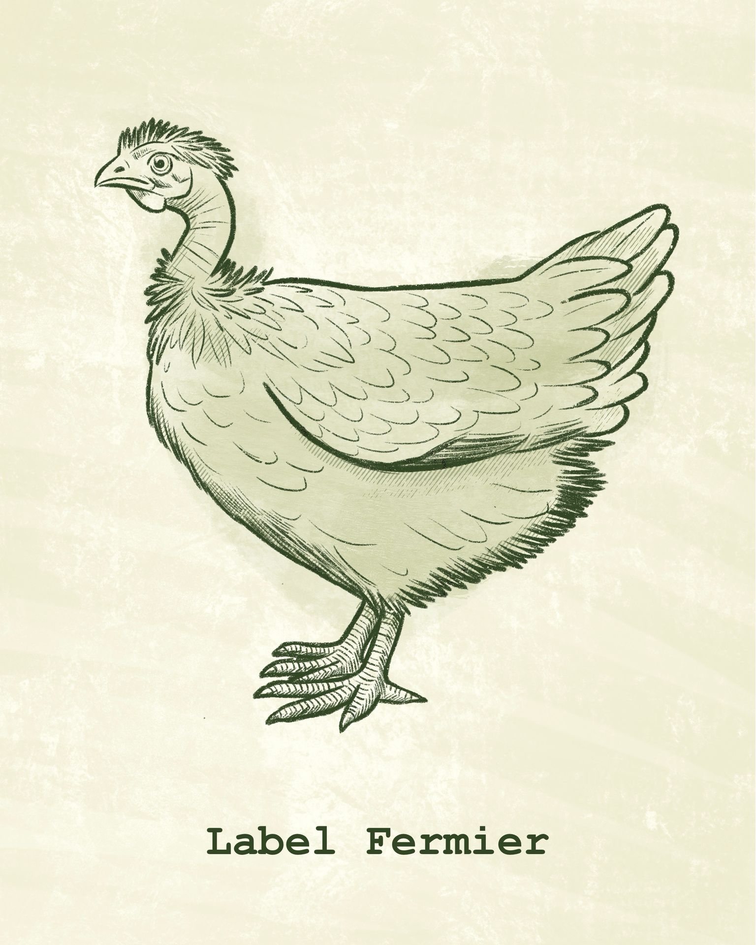 Azienda - 𝗣𝗲𝗿𝗰𝗵𝗲́ 𝗮𝗯𝗯𝗶𝗮𝗺𝗼 𝘀𝗰𝗲𝗹𝘁𝗼 𝗶 𝗟𝗮𝗯𝗲𝗹 𝗙𝗲𝗿𝗺𝗶𝗲𝗿?🐔 I polli Label ...