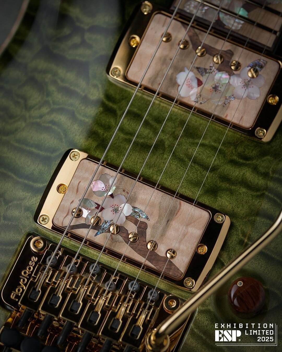 🔥🔥🔥EXHIBITION EX25-10 HORIZON-CTM FR🔥🔥🔥 #espguitars