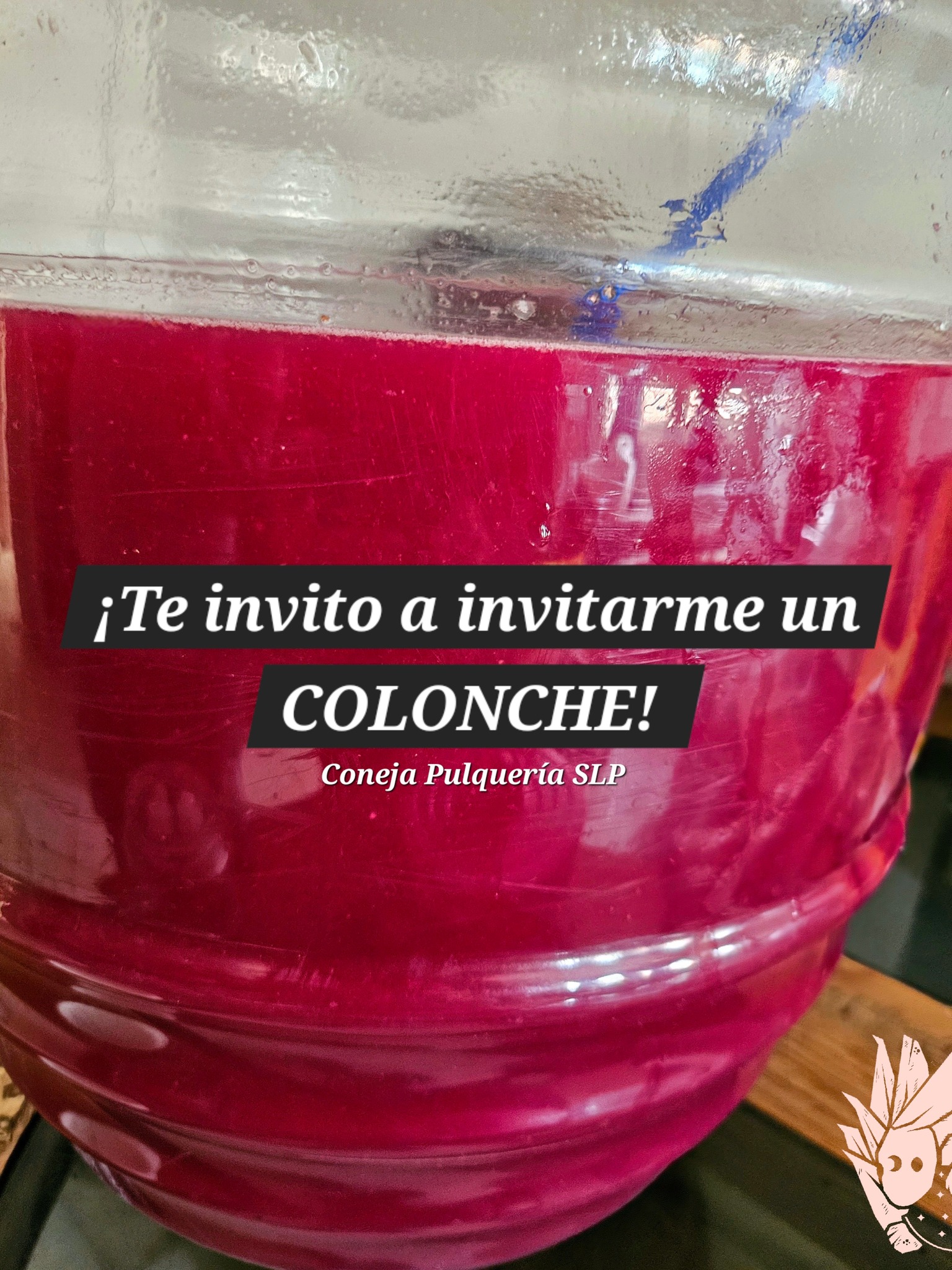 Coneja - El #colonche es una bebida tradicional mexicana elaborada a ...