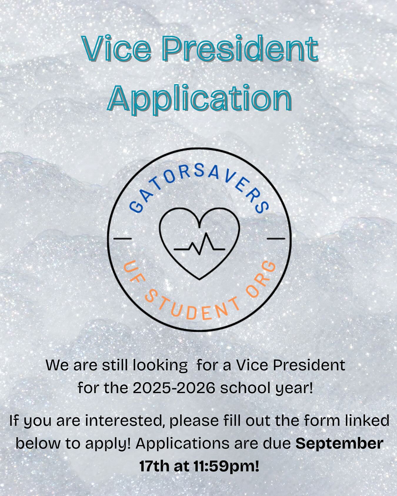 UF - We are looking for a Vice President for the 2025-2026 school year ...