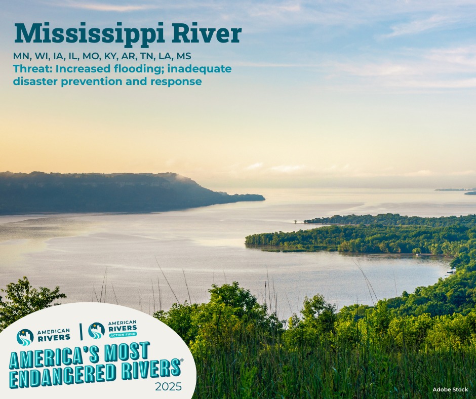 American - American Rivers, American Rivers Action Fund, 1 Mississippi ...