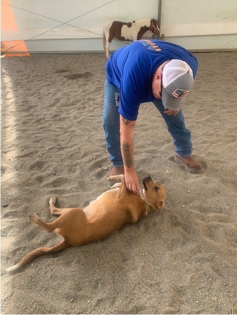 DLB Ranch, Inc | Cottonwood CA