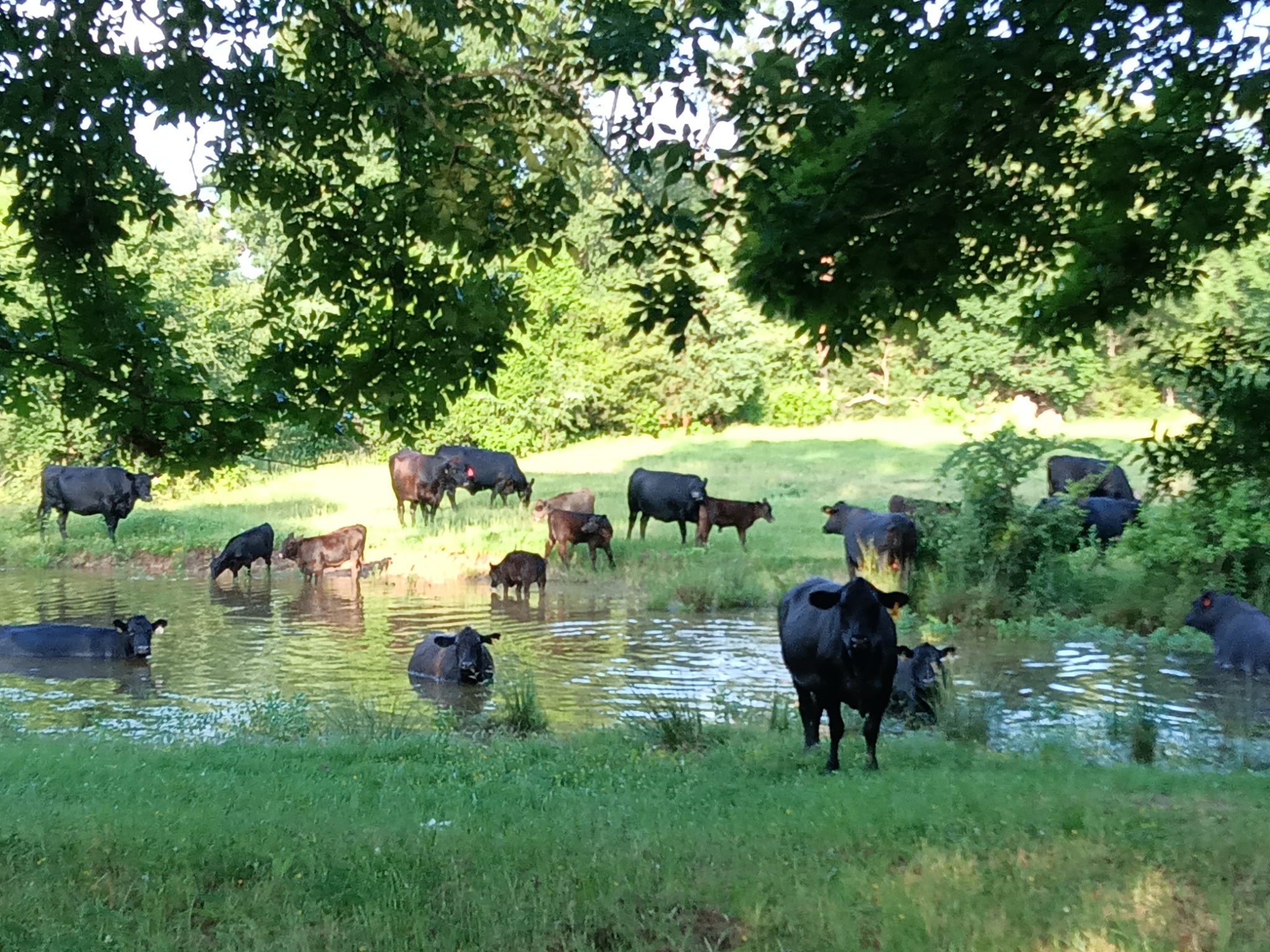 Texzen Ranch | Sumner TX