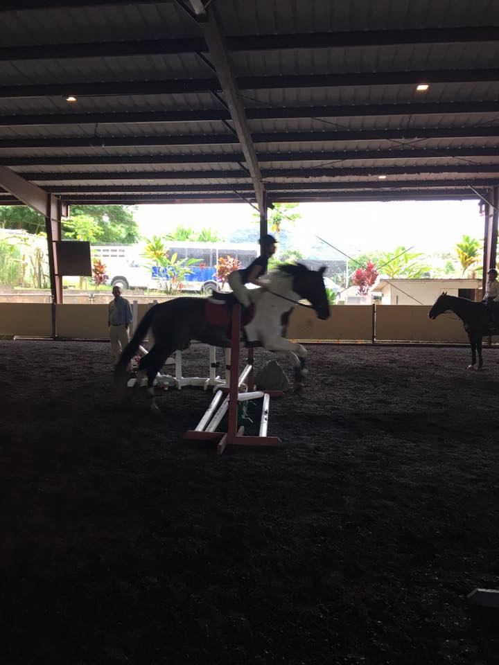 B & R Ranch | Kaneohe HI