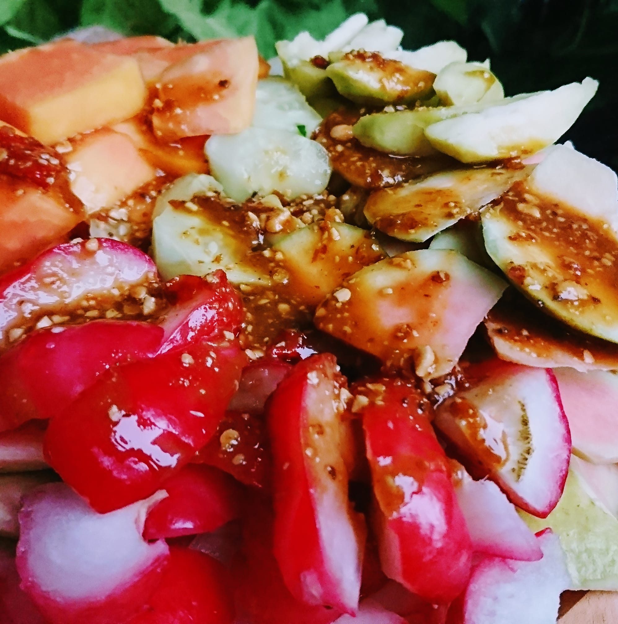 Lotis kacang 