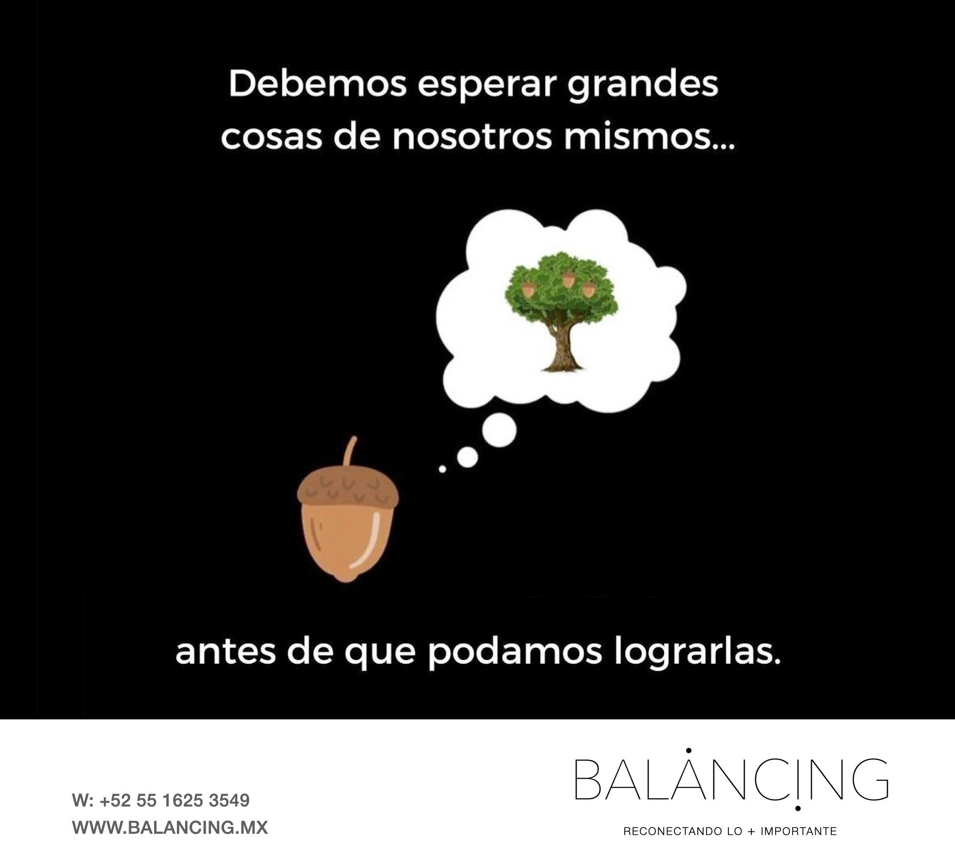 Balancing - 🌳 Todo gran cambio comienza con una creencia poderosa ...