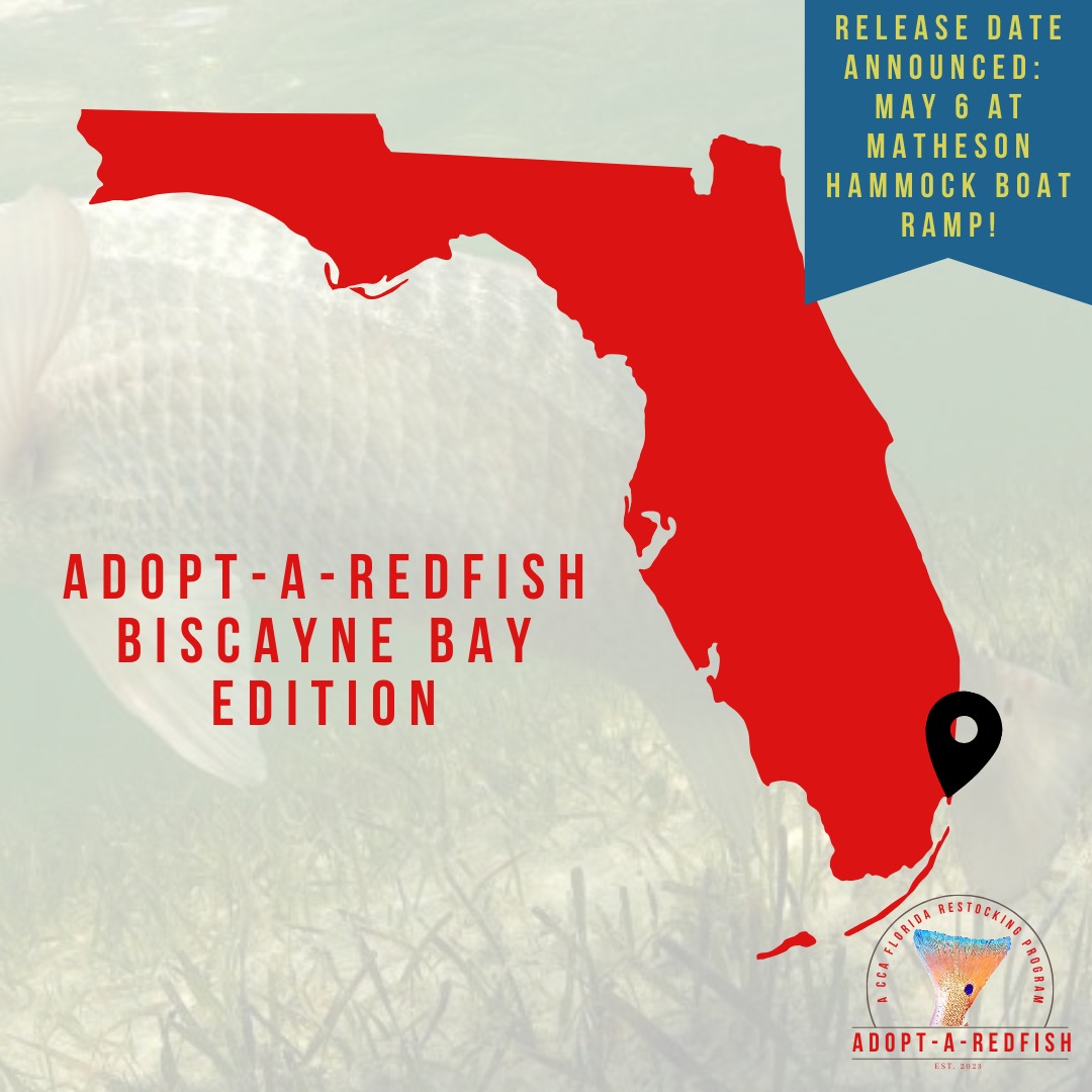 Coastal - Introducing the Adopt-A-Redfish Biscayne Bay edition! # ...