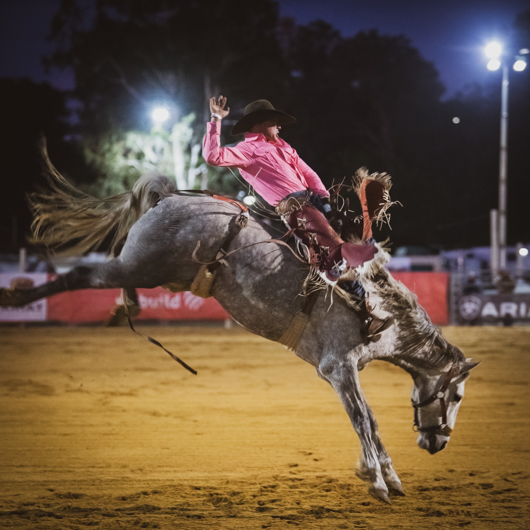 Warwick Rodeo & Gold Cup Campdraft 2025