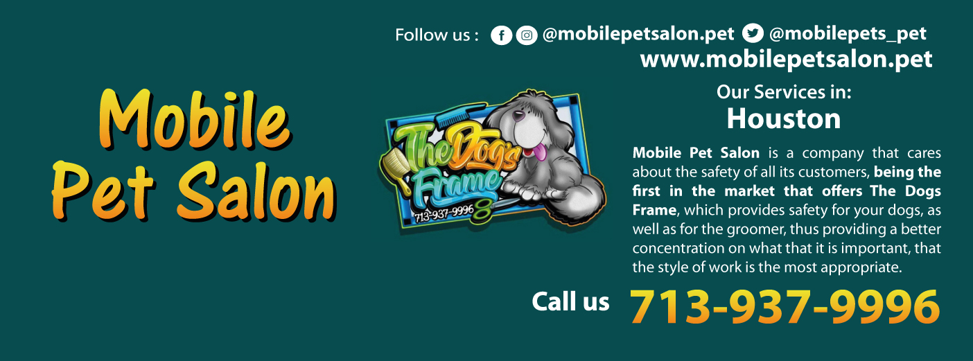 Photo inspiration: Gallery Detail: Mobilepetsalon Pet
