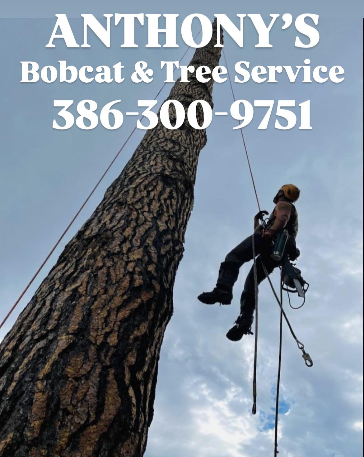 Anthony'... - Anthony's Bobcat & Tree Service, Inc. Palm Coast