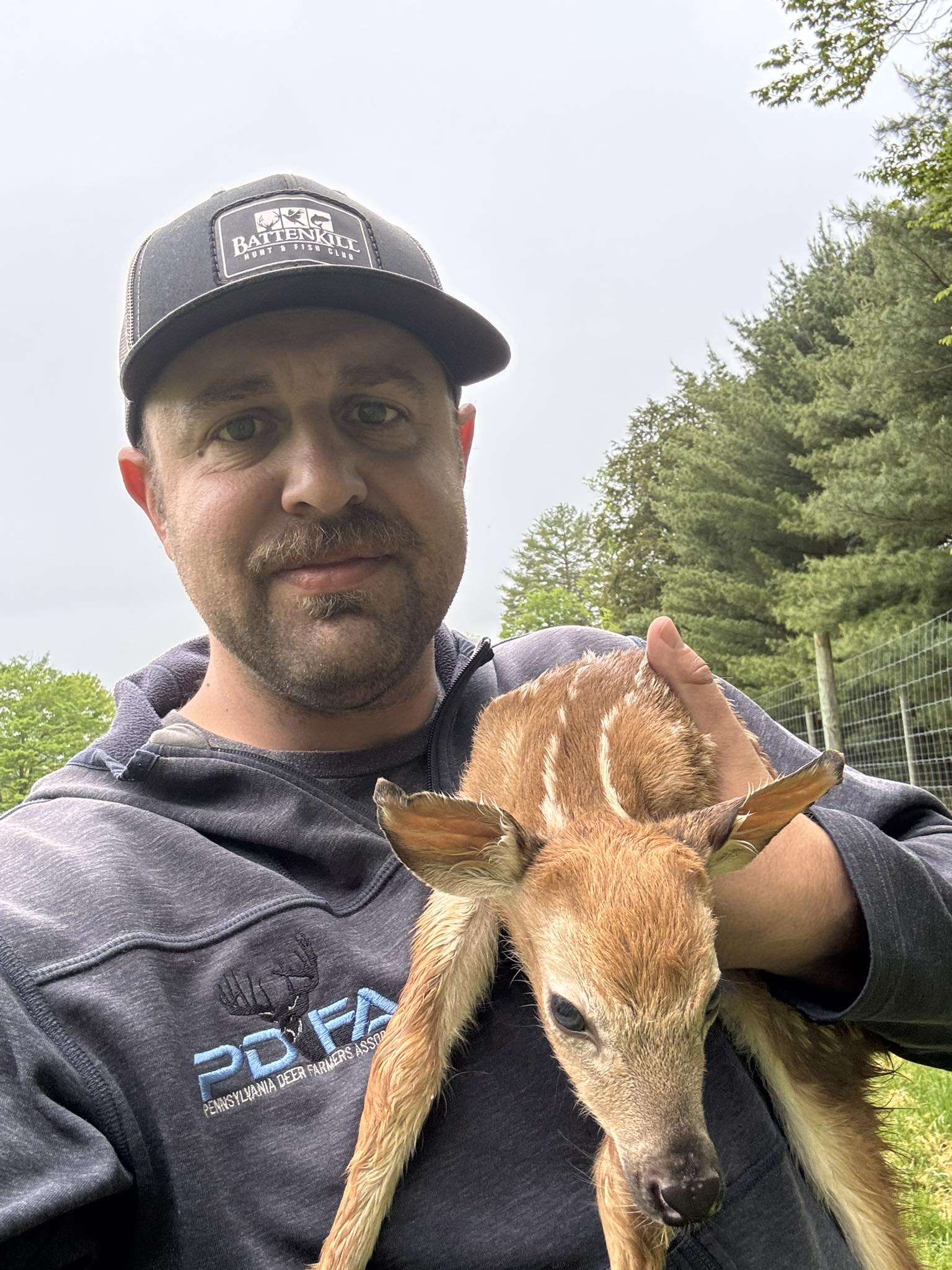 One of three fawns born last night... - Red Ridge Whitetails | Facebook