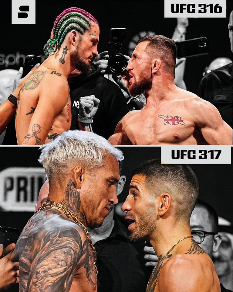 FIGHT.TV - 🥊 UFC 316: Sugar Sean O'Malley vs Merab 