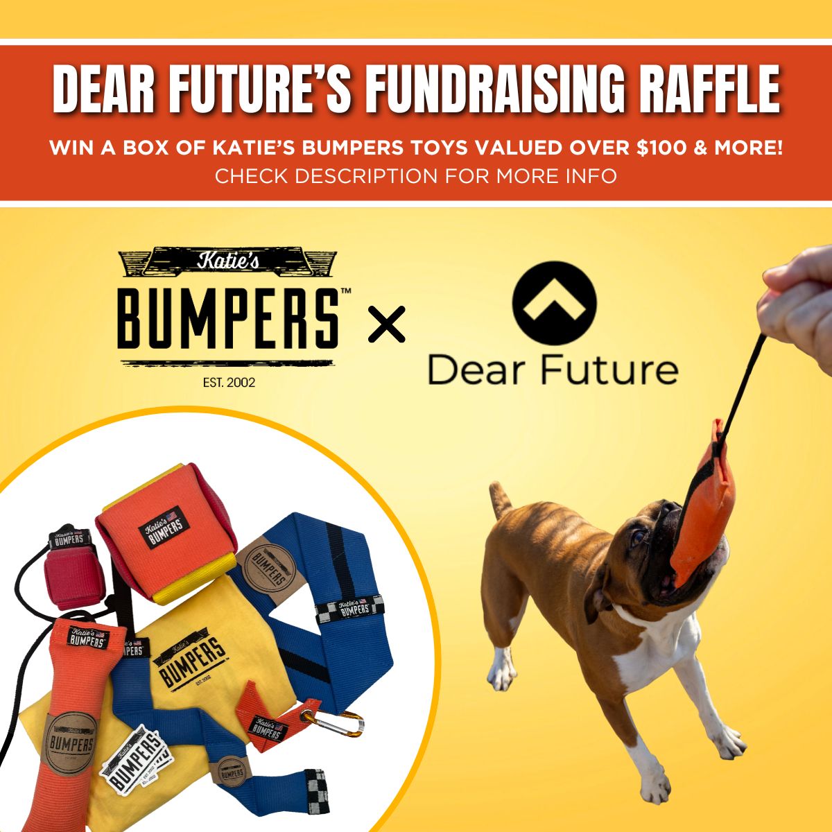Katie's - 🤩🎉 RAFFLE TIME! Join Katie's Bumpers and @dearfuturengo for ...