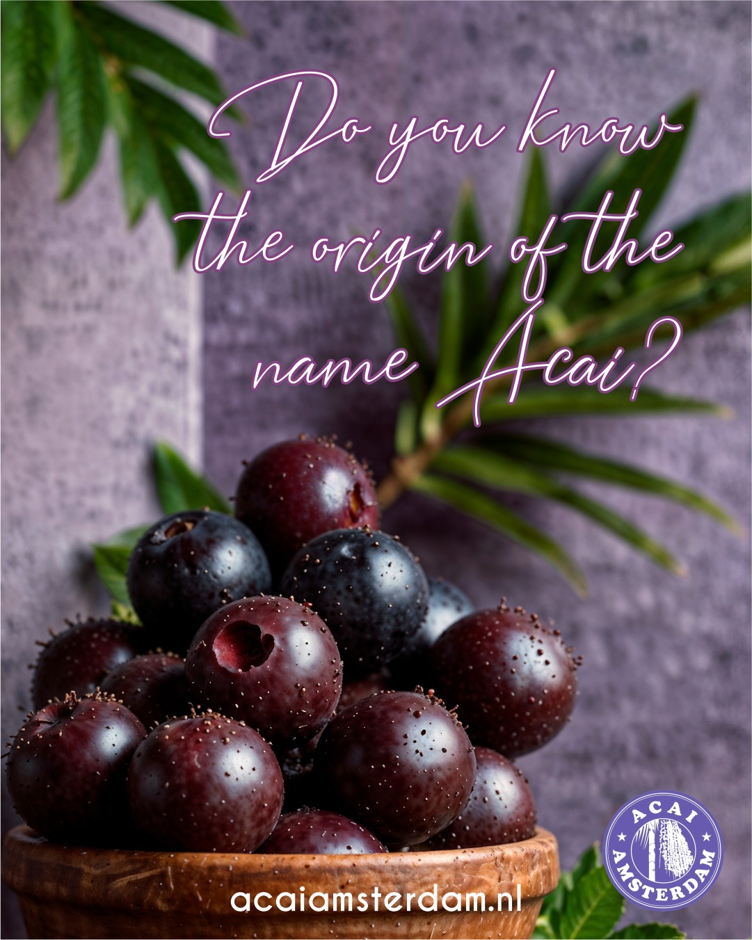 Acai Amsterdam - The word 