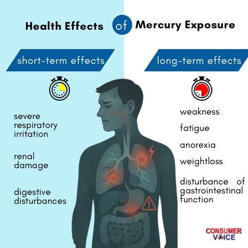 acetyl l carnitine side effects wiki Mercury isn't just toxic in the long run — even short-term exposure can cause severe respiratory irritation, kidney damage, and digestive issues. But the long-term are even more alarming: fatigue, weight Benefits of B12 Injections Buy Neuro-Bedoxine Inj Options disponibles:30 mL