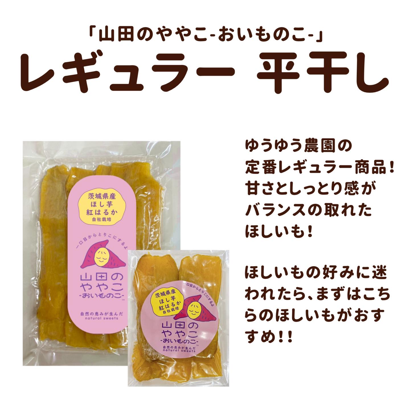 レギュラー平干しってどんな商品？🍠】 ゆうゆう農園の定番レギュラー
