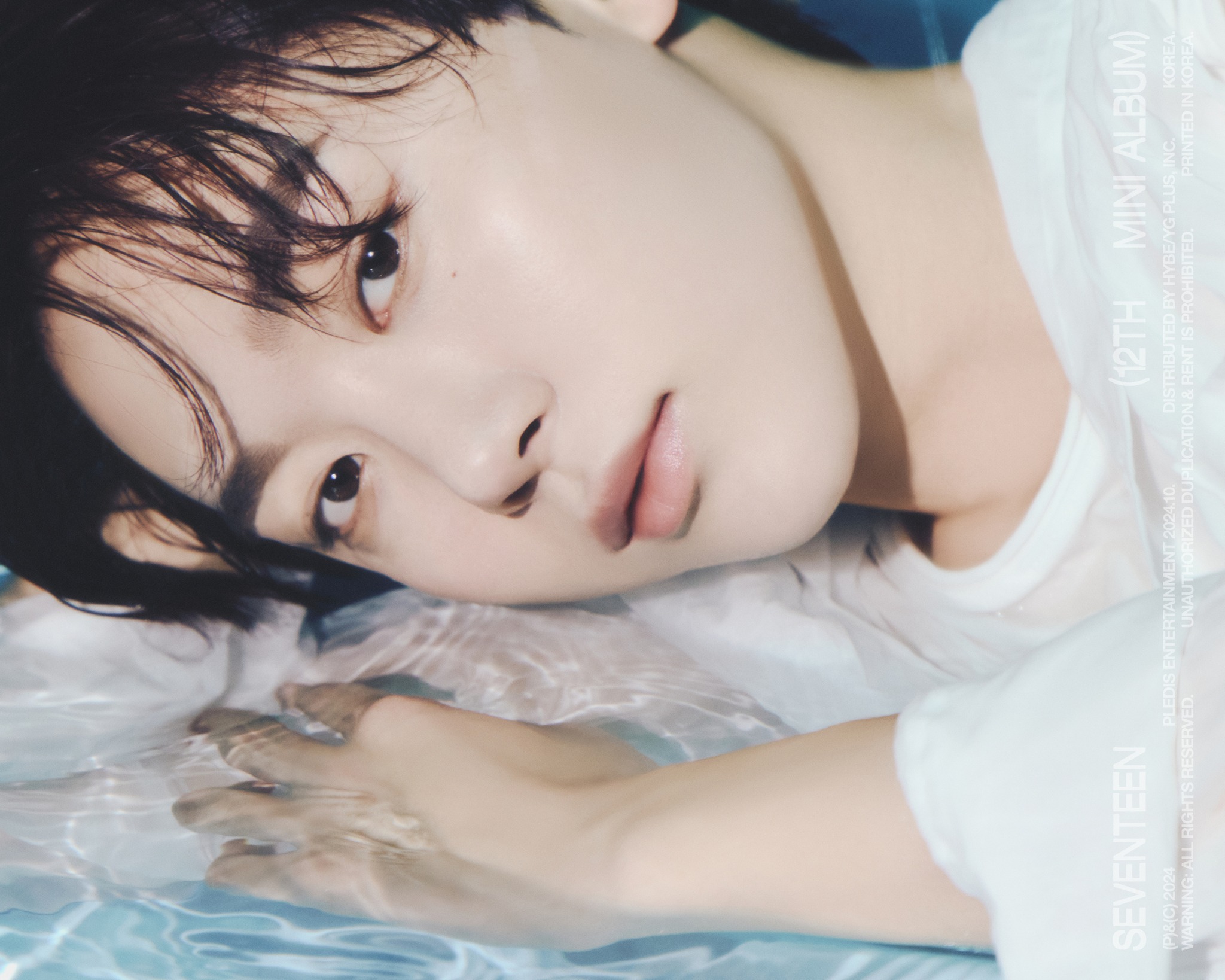 SEVENTEEN (세븐틴) 12th Mini Album Official Photo 𝗩𝗘𝗥.𝟬