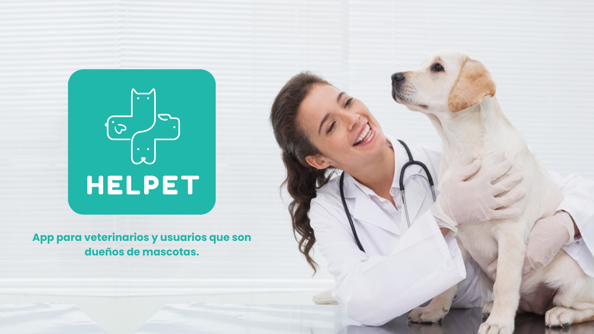Helpet Servicios... - Helpet Servicios Veterinarios