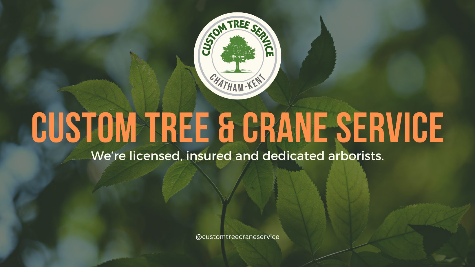 Custom Tree & Crane Service | Chatham ON