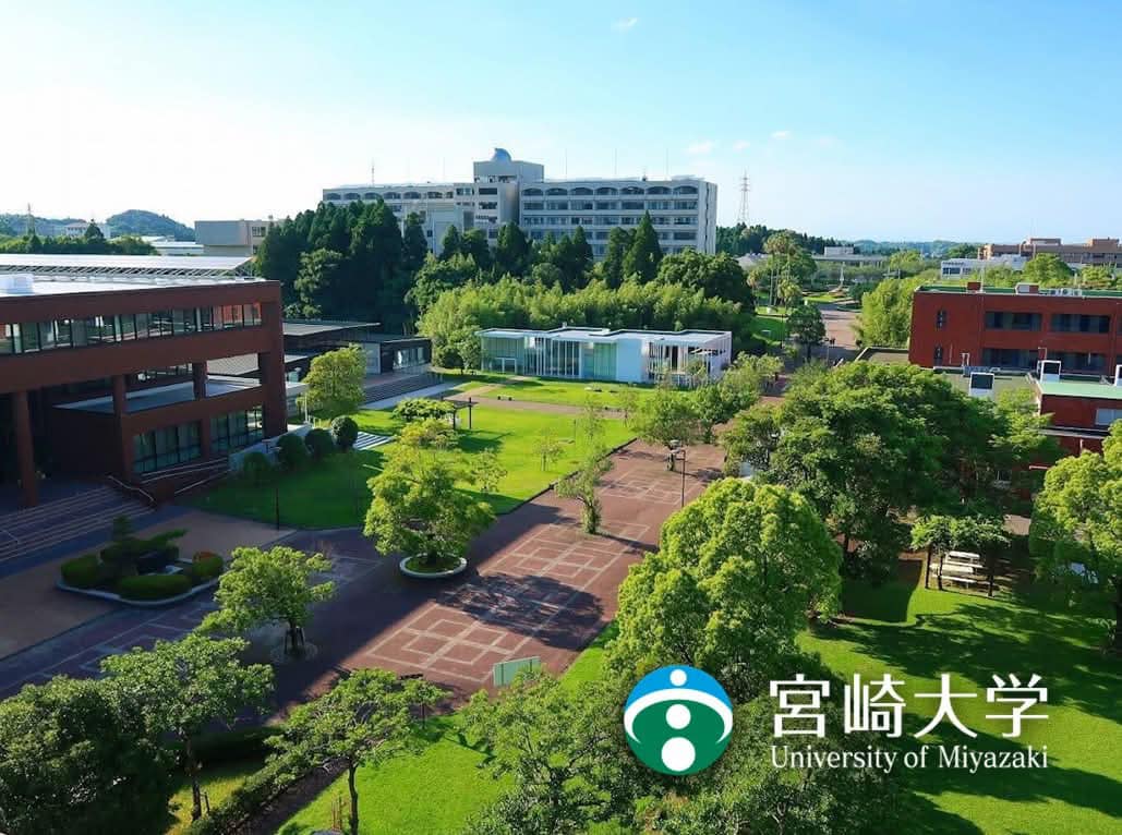 宮崎 大学 木 花 キャンパス