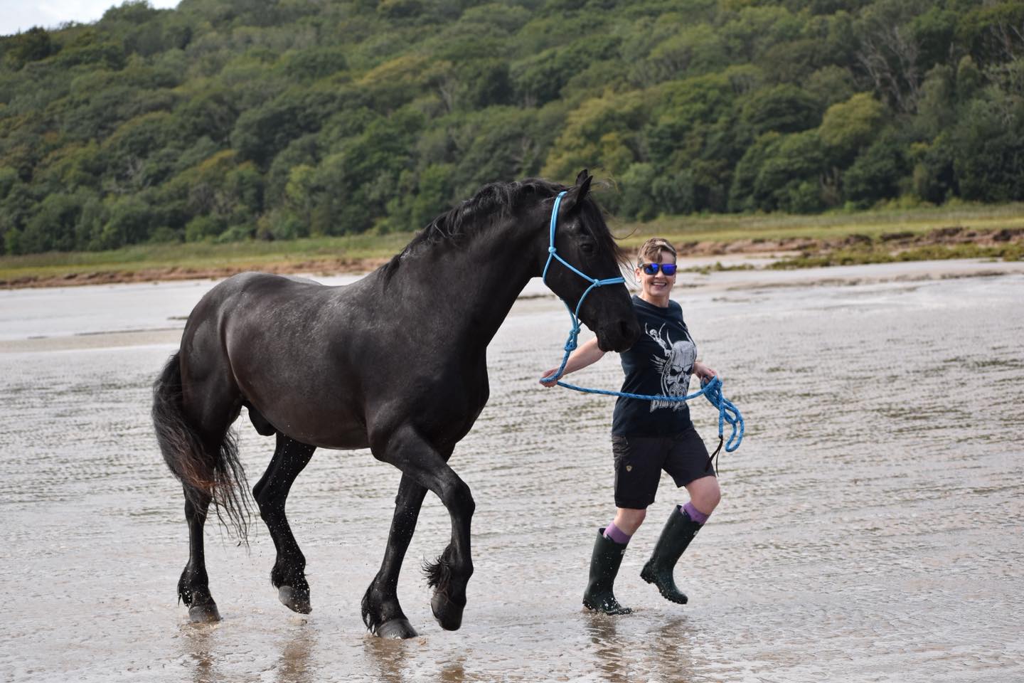 Spring in his step. Hidde is... - The Friesian Experience | Facebook