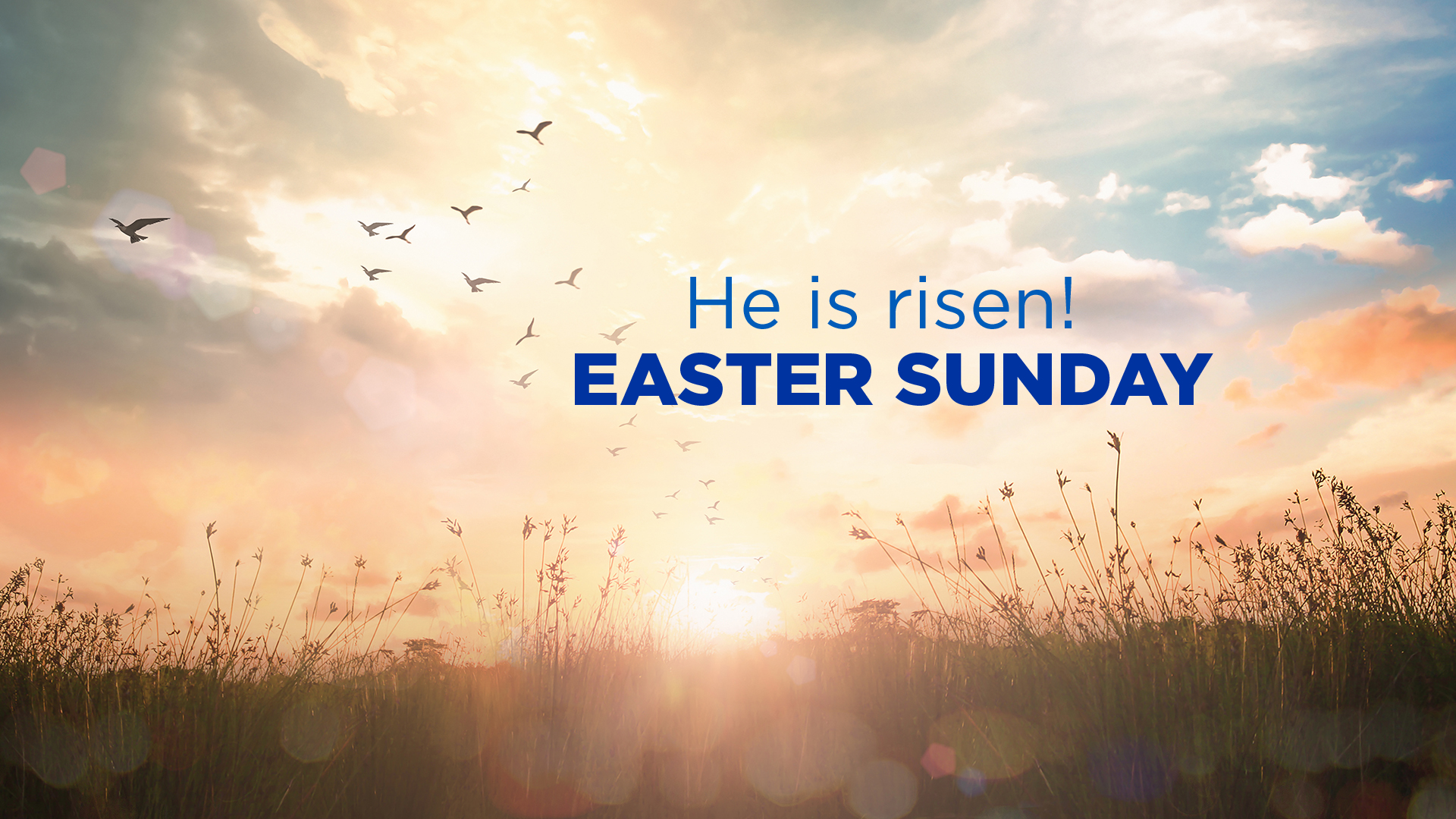 Mercy Health - This Easter Sunday, join us as we celebrate... | Facebook