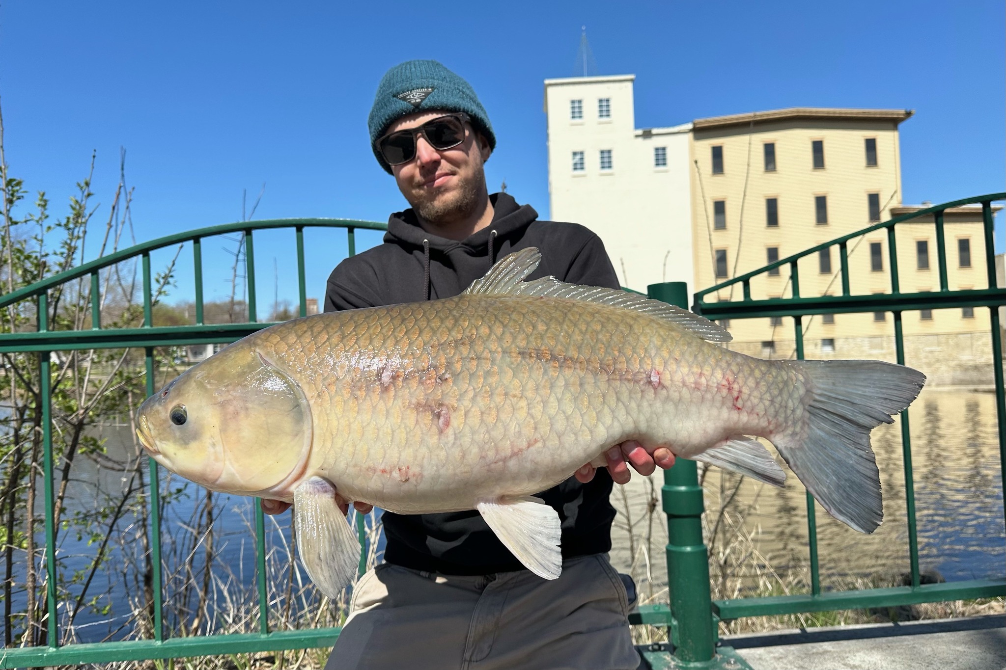 Minnesota - Check out this chonk of a bigmouth buffalo! 🎣 📏 Joe Dahl of ...