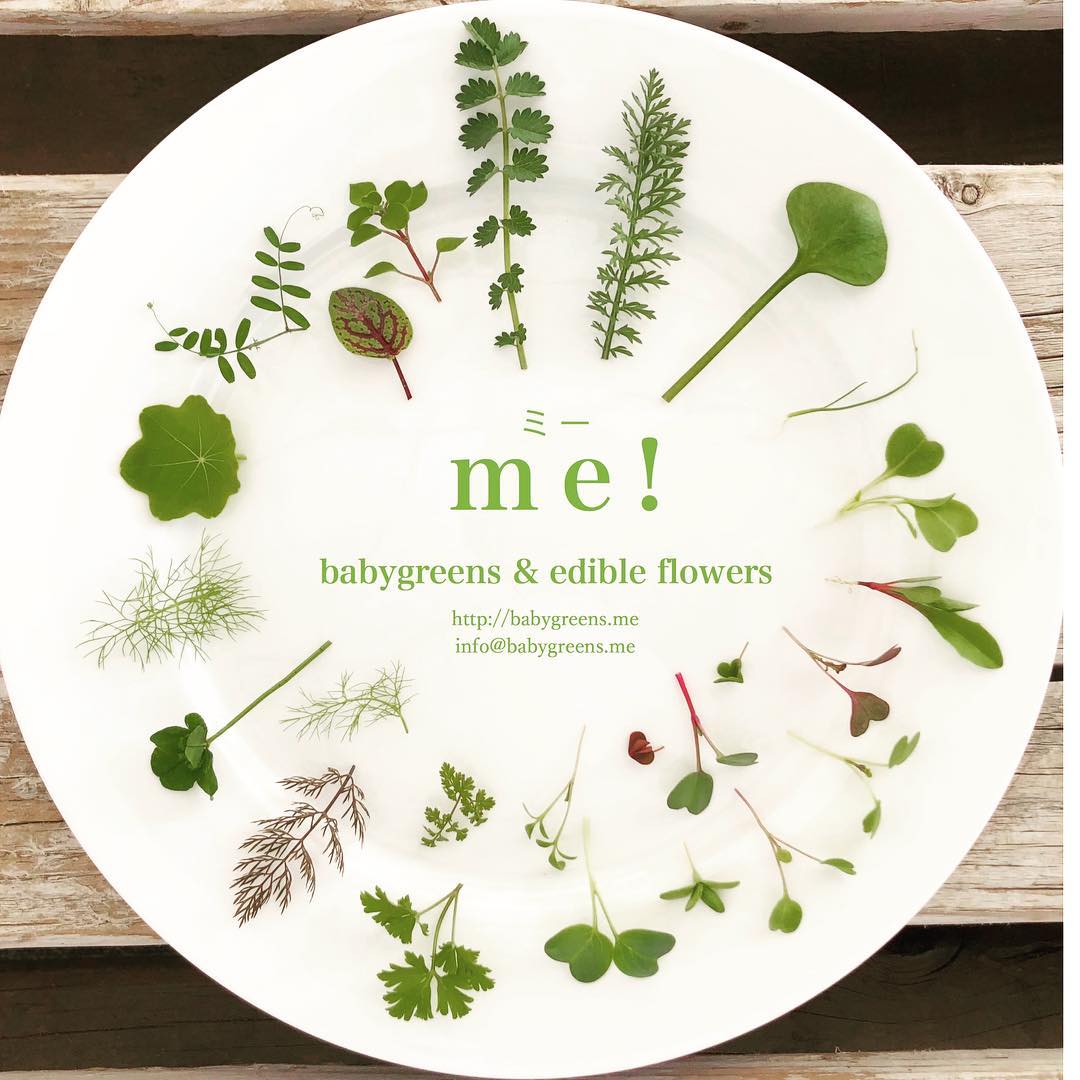 ミー me babygreens & edible flowers - #マイクロリーフ #ヤロウ #サラダバーネット #ハコベ #レッド ...